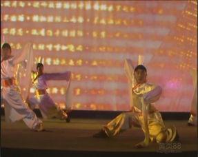 成人男女开场舞视频,优雅互动，舞动魅力瞬间  第1张