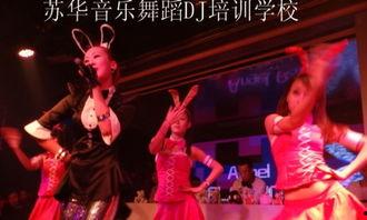 成人学唱新疆歌曲视频播放  第1张