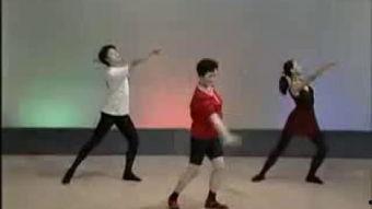 成人舞形体音乐视频教学,成人舞形体音乐视频教学体验分享  第1张