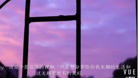 留恋视频成人版在线观看,一场激情与禁忌的视觉盛宴  第1张