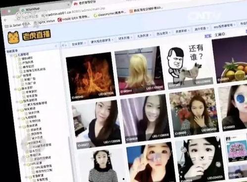 成人网色视频免费,免费观看背后的真相与风险  第2张