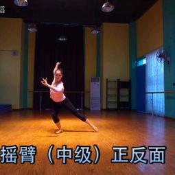 歌林公园成人舞蹈视频,跟随成人舞蹈视频，解锁优雅舞步之旅  第3张